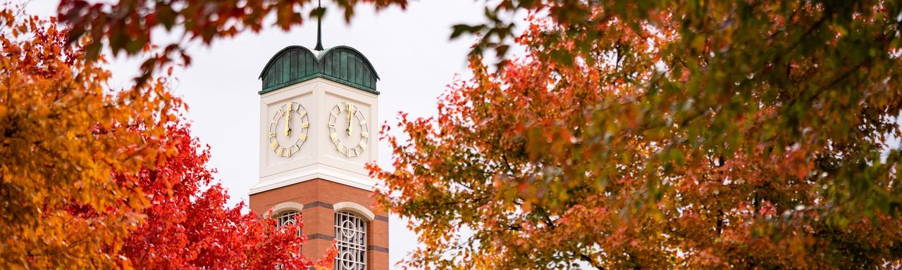 Cook Carillon Tower surrounded by fall leaves